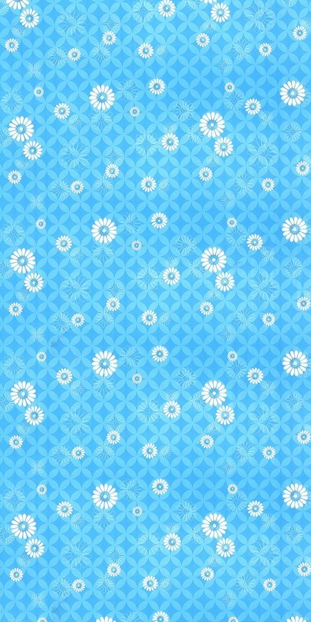 2530 BLUE HAZY FLOWER